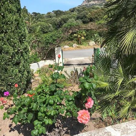 Maison Vue A Avec Terrasse Et Jardin Clos * Lumio (Corsica)
