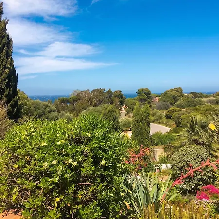 Maison Vue A Avec Terrasse Et Jardin Clos * Lumio (Corsica)