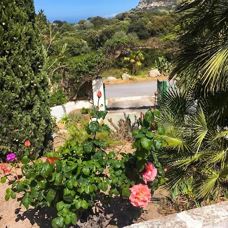 Maison Vue A Avec Terrasse Et Jardin Clos