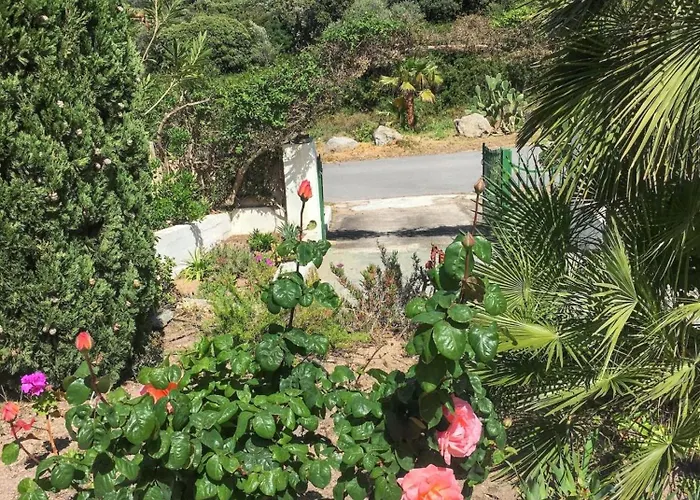 Maison Vue A Avec Terrasse Et Jardin Clos * Lumio (Corsica)