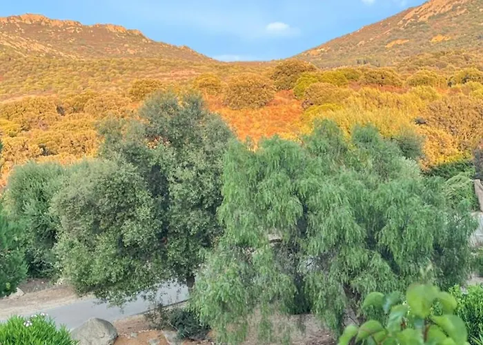 Maison Vue A Avec Terrasse Et Jardin Clos Vakantiehuis Lumio (Corsica)
